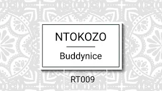 buddynice ntokozo redemial mix 