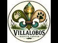 Everything you need to know about working for Villalobos Rescue Center