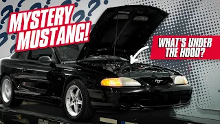 Stroker 302 Mystery Modded 1995 Mustang GTS Hits the Dyno