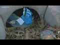 Data company to track fix litter problem in Norfolk