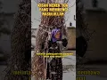 Download Lagu Kisah nenek tua yang membenci nabi Muhammad Saw #shorts #kisahnabi