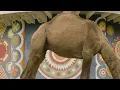 Tedeschi Trucks Band - Playing With My Emotions (Official Video)