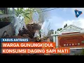 Download Lagu Kasus Antraks Gunungkidul, Warga Gali Kuburan Sapi untuk Dikonsumsi