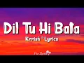 Lagu Dil Tu Hi Bata (Lyrics) | Krrish 3 | Alisha Chinai, Zubeen Garg