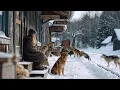 Download Lagu ✨ ¡Tienes que verla! Una bomba para una agradable noche en familia! Ver Pelicula Aventura en Español