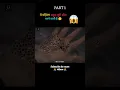 Download Lagu Trypophobia full movie explain in Hindi/Urdu part 1 😱 #shorts