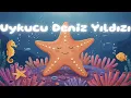 Download Lagu Tatlı Rüyalar İçin Masal: Uykucu Denizyıldızı ⭐ 0-5 Yaş Çocuk Uyku Hikayesi