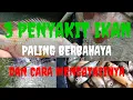 Download Lagu CARA MUDAH MENGATASI PENYAKIT PALING BERBAHAYA PADA IKAN NILA