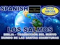 HERMOSA LECTURA SALMOS BIBLIA TNM DE LAS SANTAS ESCRITURAS 1987 - LENGUAJE MODERNO Y SENCILLO