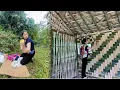 Lagu REWIND TIME: The 180-Day Journey After Being Evicted - The Girl Who Built a Bamboo House Alone