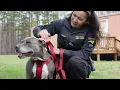 Animal Control Unit