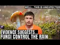 Mushrooms Have an Ability to Control Rain According to New Study