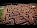 Paulus Orchards Eight Frames Films Promo
