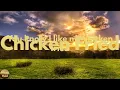 Zac Brown Band - Chicken Fried (Lyrics)