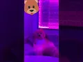 Sech - Otro trago Ft. Darell (Oficial Vertical Video)