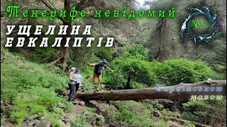 Цього маршруту немає на мапі Тенерифе! Як здолати страх висоти?