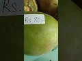 Download Lagu PRICE OF BEST QUALITY A GRADE GREEN COCONUT. NARIYAL BHAV
