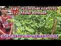 Download Lagu CABE RAWIT ORI 212 SETELAH DISERANG KERITING : PEMULIHAN SETELAH 2 X APLIKASI