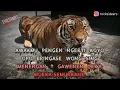 Download Lagu Lagu setan gentayangan