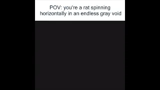 Rat Spinning Horizontally But You Re The Rat 