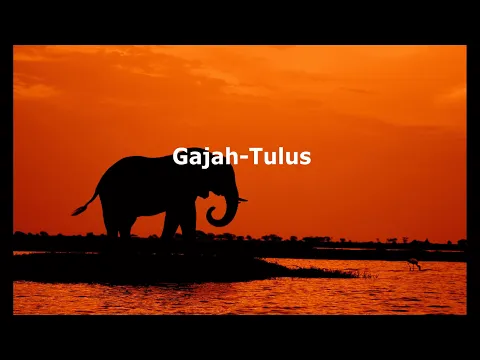 Download MP3 Tulus-Gajah|| Lirik lagu