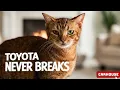 The BEST Used Trucks Under 10 000 RIGHT NOW 2026