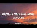 Bana Hi Nahi Tha Jana (Lyrics) - Dino James