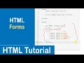 Forms in HTML HTML Tutorial