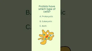 Protists have which type of cells