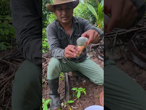 Abono líquido natural y casero