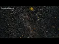 Khalid - New Normal (Lyrics)