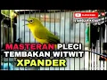 Download Lagu MASTERAN PLECI TEMBAKAN WITWIT X-PANDER