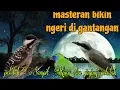 Download Lagu Fuul tembakan ngeri🔥 pelatuk Sampit Kinoi dan jinjing petulak 