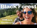 Download Lagu Germany’s Black Forest 🇩🇪 7 Unique Experiences