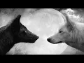 INSIDE YOU THERE ARE TWO WOLVES