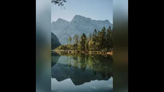 bunny hop quincas moreira