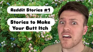 Reddit Stories to Make Your Butt Itch Reddit Stories