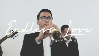 Download ENDLESS LOVE Cover by Dori Wirawan Live at Wedding MP3