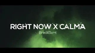 Download AKON RIGHT NOW NA NA NA X CALMA BREAKBEAT FULL BASS MP3