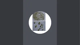 HISTÓRIAS DE GARIMPO DE OURO E DIAMANTE