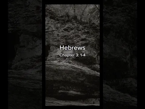 Cash Reads The New Testament: Hebrews Chapter 3. Full reading available at the link in bio 🖤