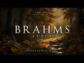 ✨ Soulful Music to Relax, Release Stress & Find Inner Peace 🌿 Brahms Inspired Cello, Piano & Violin🎻