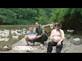 Download Lagu A day with my son: Harvesting duck eggs and going to the market, SURVIVAL ALONE