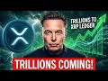Lagu XRP FOMO IS POSTITIONING - TRILLIONS ARE COMING TO THE XRPL - ELON SAYS AI WILL FIX THE DEBT