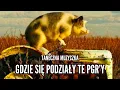 Download Lagu Taneczna Muzyczka - Gdzie się podziały te PGR'Y (Cover Antoś Szprycha)
