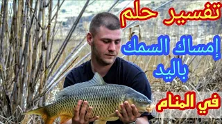 تفسير رؤية حلم امساك السمك باليد في المنام لابن سيرين رؤية السمك في المنام لابن سيرين تفسير الاحلام دندنها