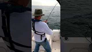 Salmon Fishing Lake Ontario – The Off-Road Angler