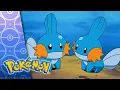 A Mudkip Mission POKEMON FULL EPISODE 25 Season 6