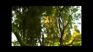 Inye Plus Ndembe Ndembe Gwede Gwede Kingwendu Majuto Bambo Senga Makalio Part 3 