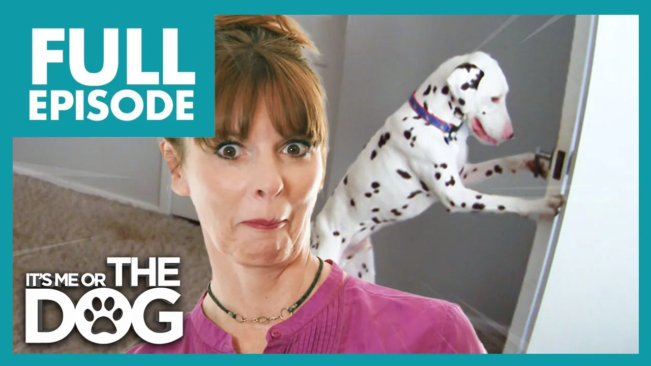 Deaf Dalmatian Opens Every Door and Tries To Escape 119 | Full Episode | It's Me or the Dog